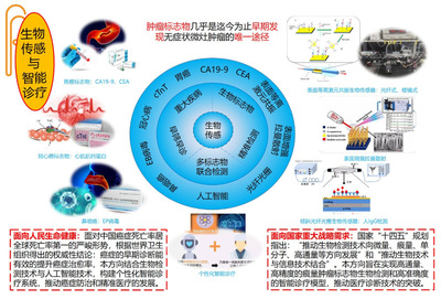 信息學(xué)院王琦教授獲批國家科技重大專項(xiàng) 助力信息科技領(lǐng)域技術(shù)突破
