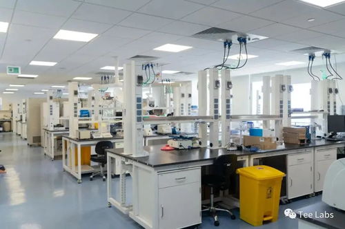 雙核驅(qū)動 張江信息科技新里程碑——中心與孵化器正式啟動